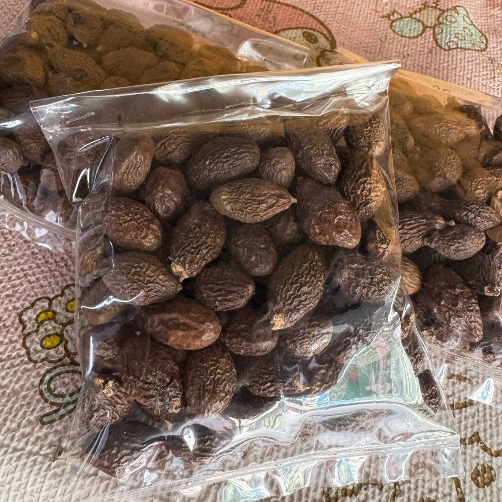 ลูกสำรอง​ หมากจอง​ ขนาด​ 100​ กรัม​ พร้อม​ส่ง
