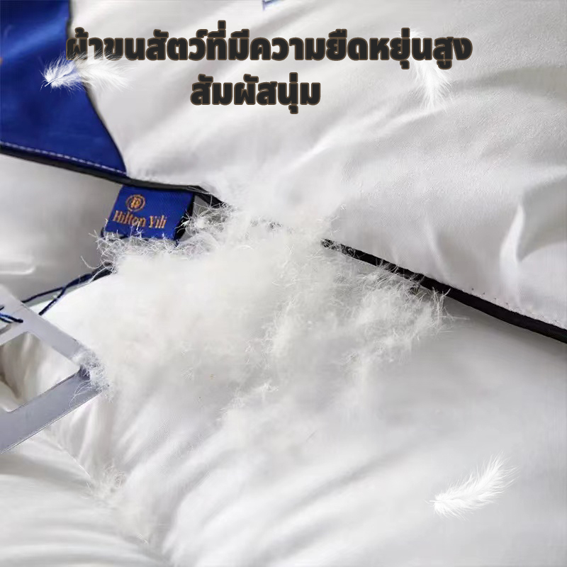 ผ้านวมใยขนเป็ด โรงแรม 5 ดาว สไตล์ฮิลตัน นุ่มฟู เบา ไม่อับชื้น ขนาด 5/6/7 ฟุต ราคา ถูกที่สุด ดีลบีเคเค แกลเลอรีภาพที่ 7