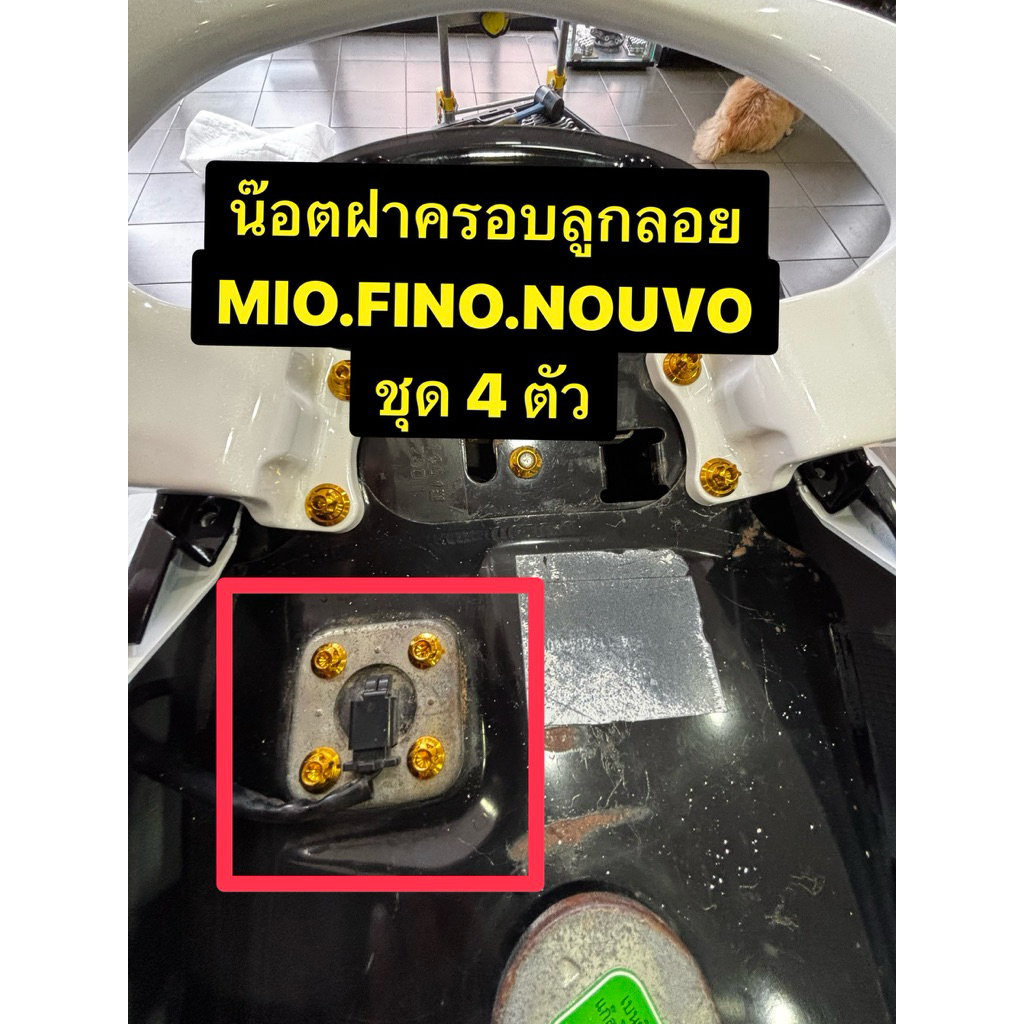 น๊อตลูกลอย mio.fino.nouvo (ชุด4ตัว) เงินฺ.ทอง .ไทเท สแตนเลสแท้