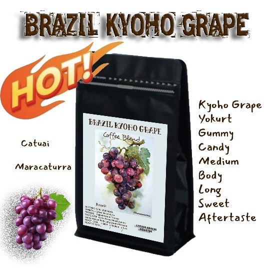 เมล็ดกาแฟ BRAZIL KYOHO GRAPE กาแฟ หมากผลไม้สีม่วง หอมองุ่นสีม่วง ส่งไว 83