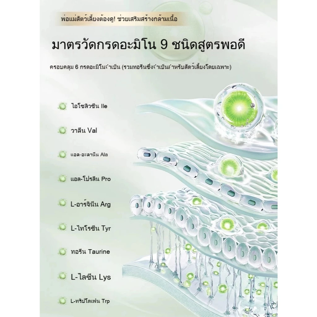 Ketzuzu อาหารเสริมสำหรับสัตว์เลี้ยง อาหารเสริมสำหรับแมว มัลติวิตามิน (เหมาะสำหรับสุนัขและแมว) thumbnail 7