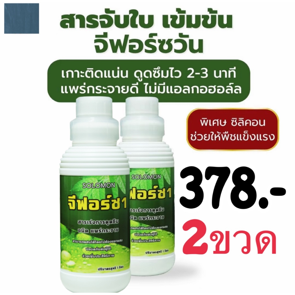 จีฟอร์ซวัน 2ขวด ยาจับใบ ฮอร์โมนพืช จับใบ เกาะติดใบ สารจับใบ 1000 ML