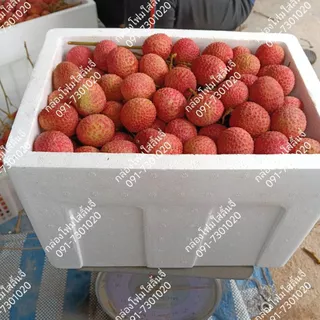 กล่องโฟมขนาด 10 กิโลกรัม #กล่องโฟม10kg (V10)