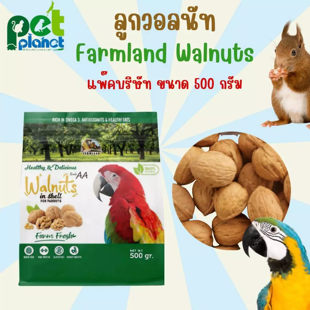 [500g.] ลูกวอลนัท Farmland Walnuts อาหารสำหรับ สัตว์เลี้ยง สัตว์ฟันแทะ นก นกแก้วขนาดใหญ่ กระรอก กระแต มาคอร์ อาหารนก