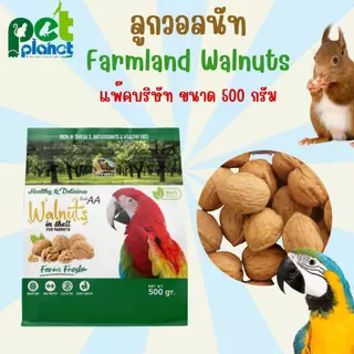 [500g.] ลูกวอลนัท Farmland Walnuts อาหารสำหรับ สัตว์เลี้ยง สัตว์ฟันแทะ นก นกแก้วขนาดใหญ่ กระรอก กระแต มาคอร์ อาหารนก