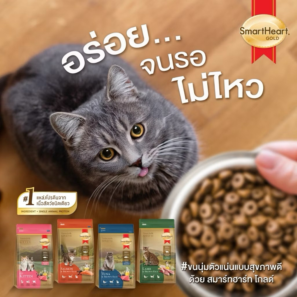 อาหารแมว สมาร์ทฮาร์ท โกลด์ รวมทุกสูตร 1kgx10ถุง