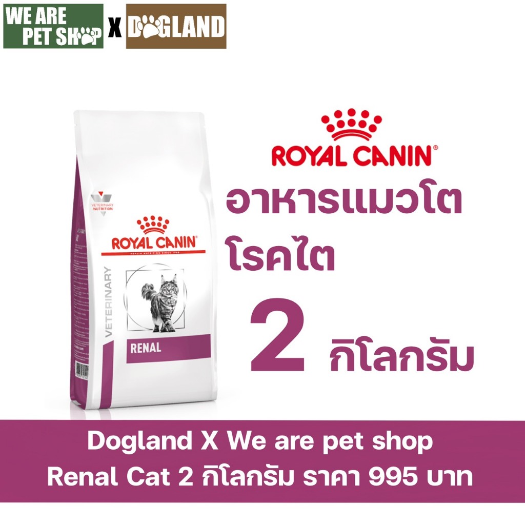Royal Canin Vet Cat 2 kg Renal แมวโรคไต