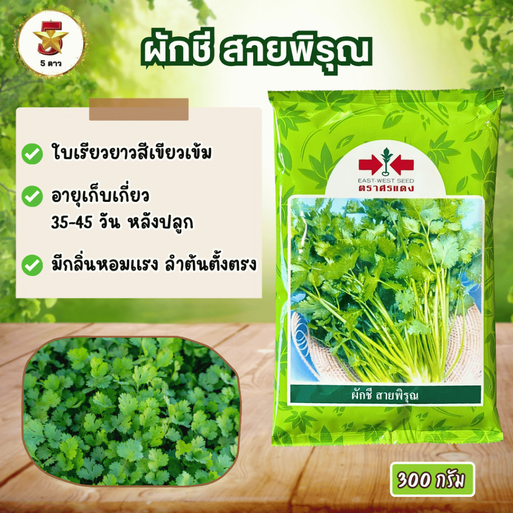 ผักชี สายพิรุณ 300 กรัม ตราศรแดง
