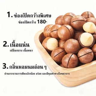 🌰แมคคาเดเมีย ถั่วแมคคาเดเมียคัดพิเศษ แมคคาเดเมีย 200g 500g 1000g เม็ดใหญ่ เต็มเปี่ยมด้วยสุขภาพ อร่อยและมีประโยชน์