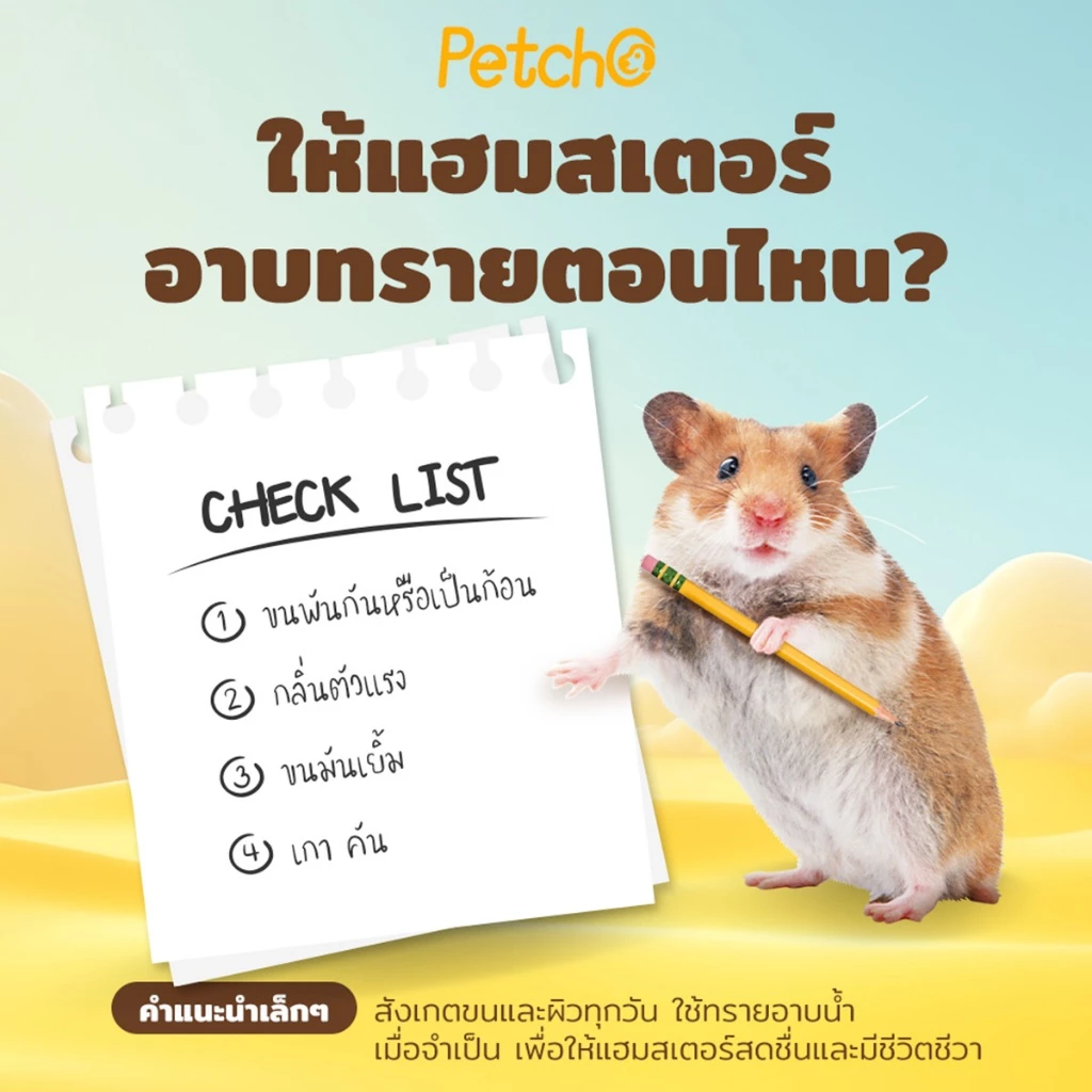 Petcho ทรายอาบน้ำแฮมเตอร์ 0.01mm thumbnail 4