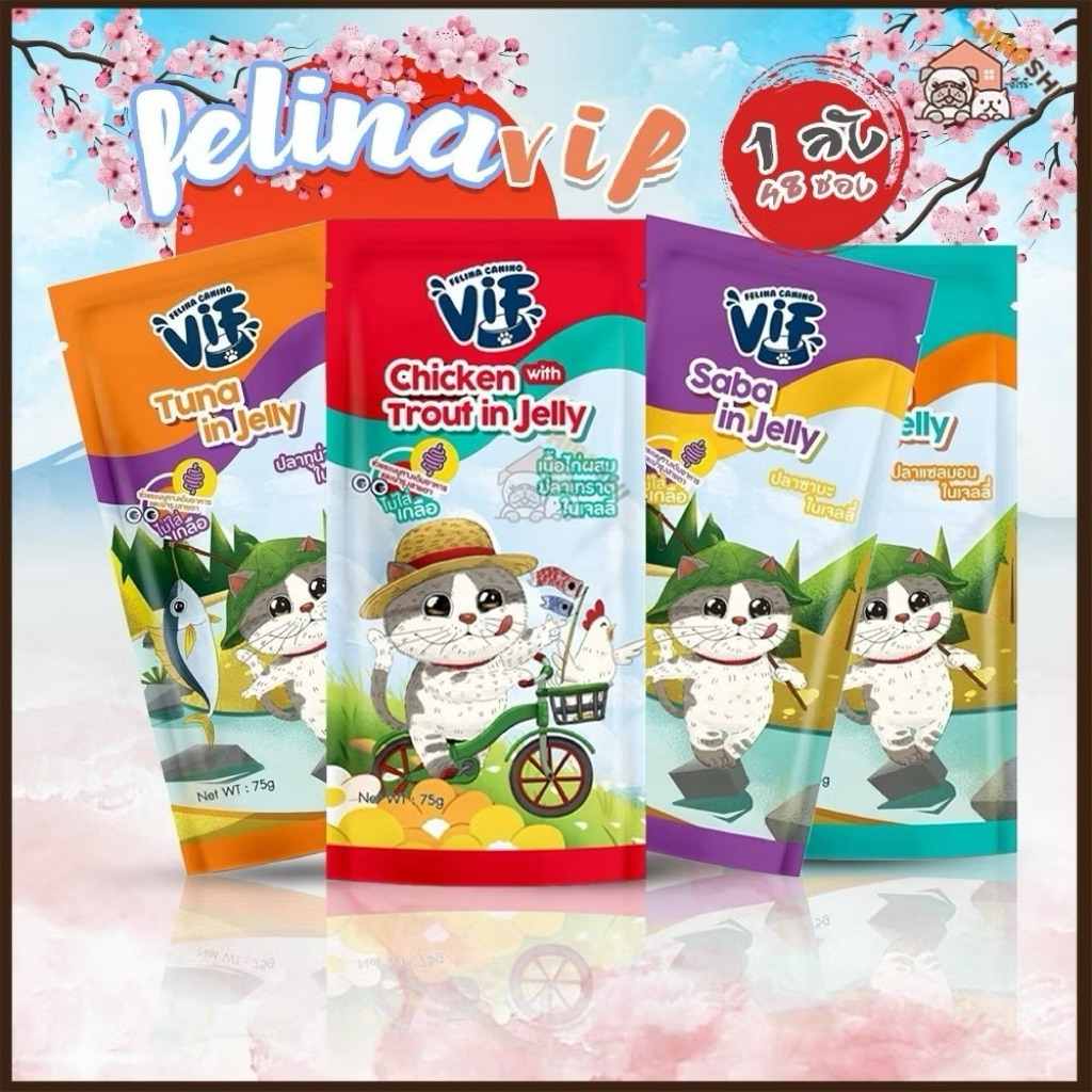 Vif Jelly อาหารสำหรับแมว ￼