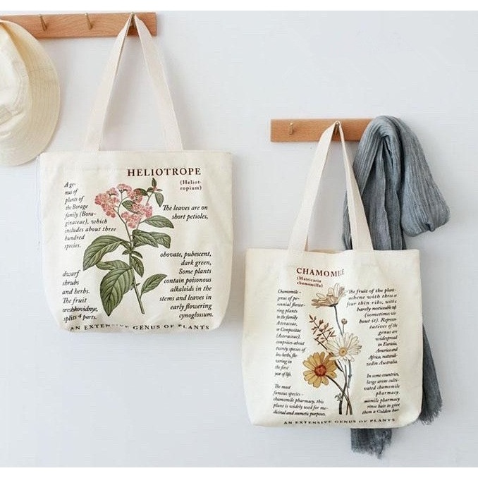 รูปภาพ 4