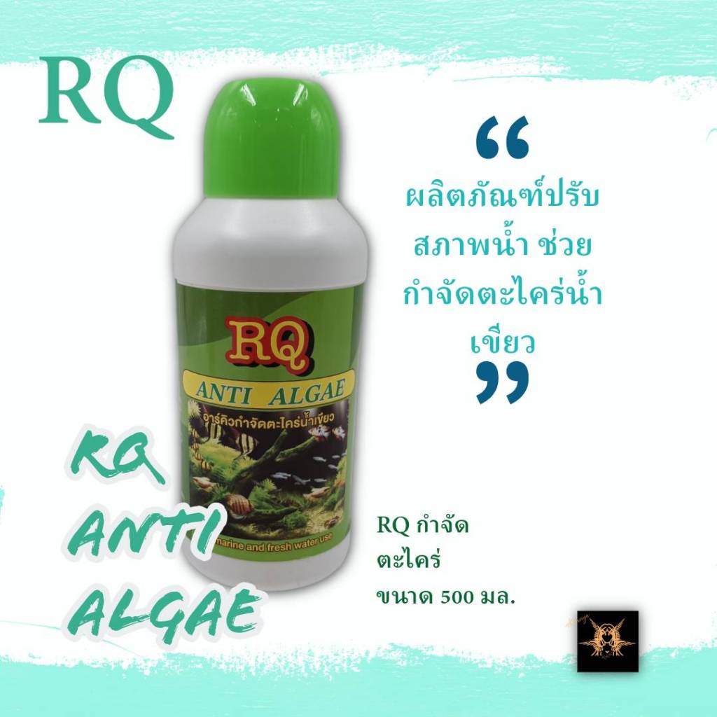 ผลิตภัณฑ์ปรับสภาพน้ำ กำจัดตะไคร่ อาร์คิว แอนตี้ แอลจี้ RQ Anti Algae 500 มล. ฝาสีเขียว สำหรับปลาสวยงาม