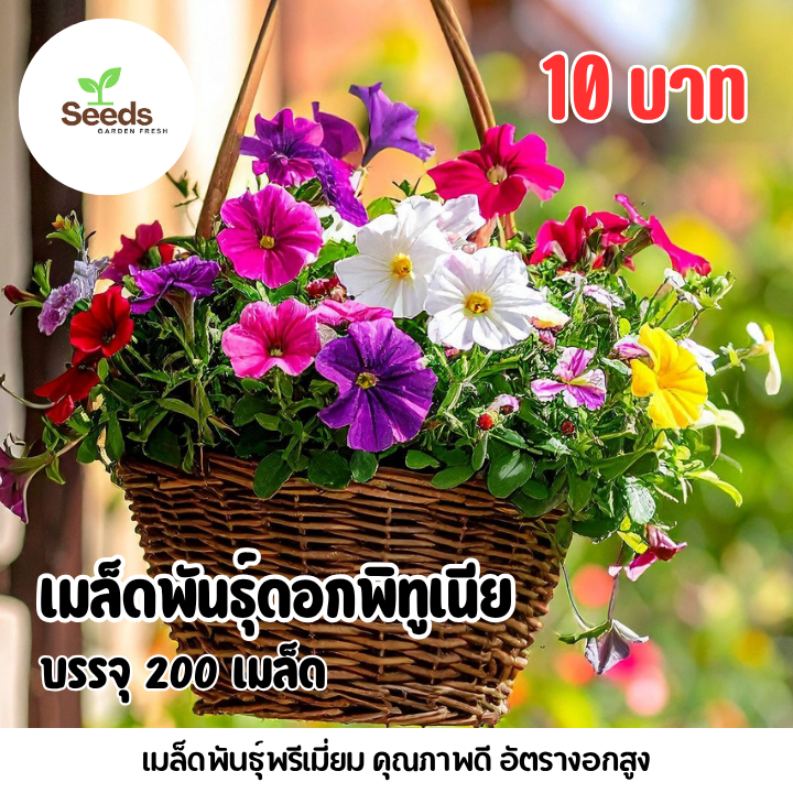 เมล็ดพันธุ์ ดอกพิทูเนีย บรรจุ 200 เมล็ด