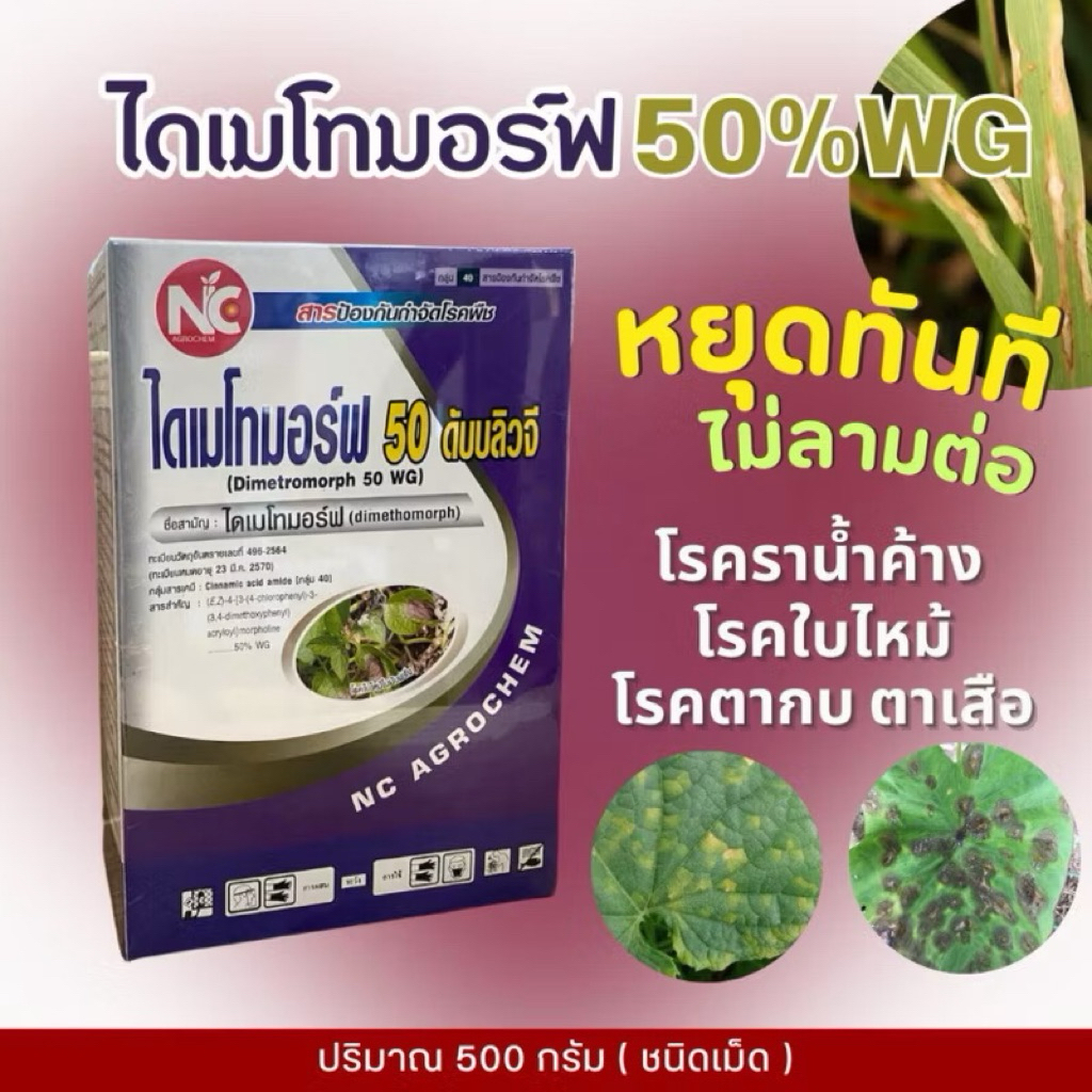 ไดเมโทมอร์ฟ 50% WG สารป้องกันกำจัดโรคพืช สารเดียวกับฟอรั่ม ละลายน้ำง่าย ขนาด 500 กรัม