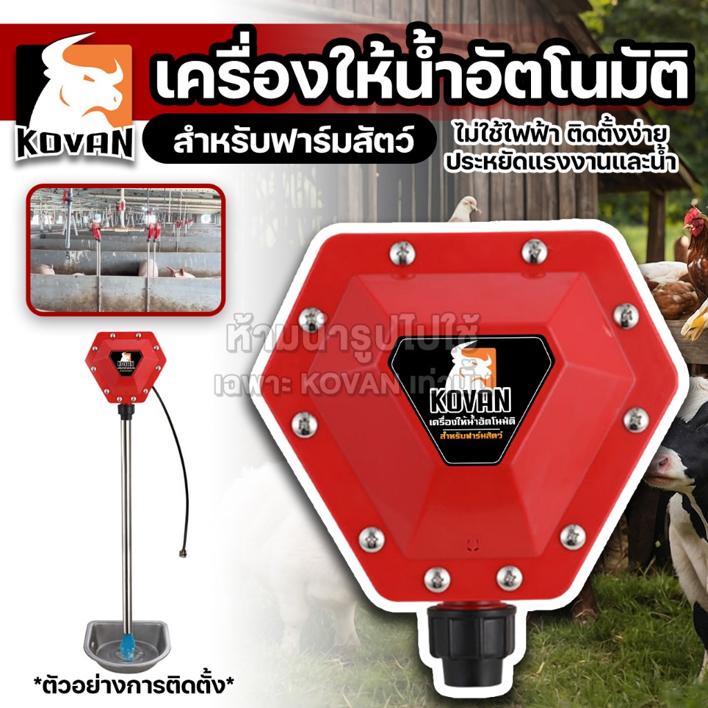 KOVAN ชุดให้น้ำอัตโนมัติสำหรับฟาร์มสัตว์ ไม่ใช้ไฟฟ้า มีระบบปิดอัตโนมัติ ประหยัดน้ำ และแรงงาน