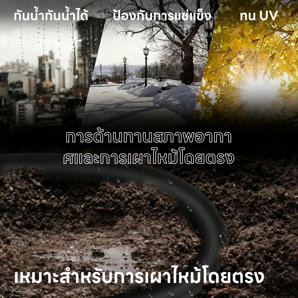 รูปภาพ 8