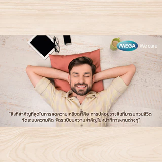 MEGA NAT B Capsules วิตามิน บี สมองปลอดโปร่ง สดชื่น ลดความเครียด มีสมาธิ ความจำดีขึ้น แก้เมาค้าง