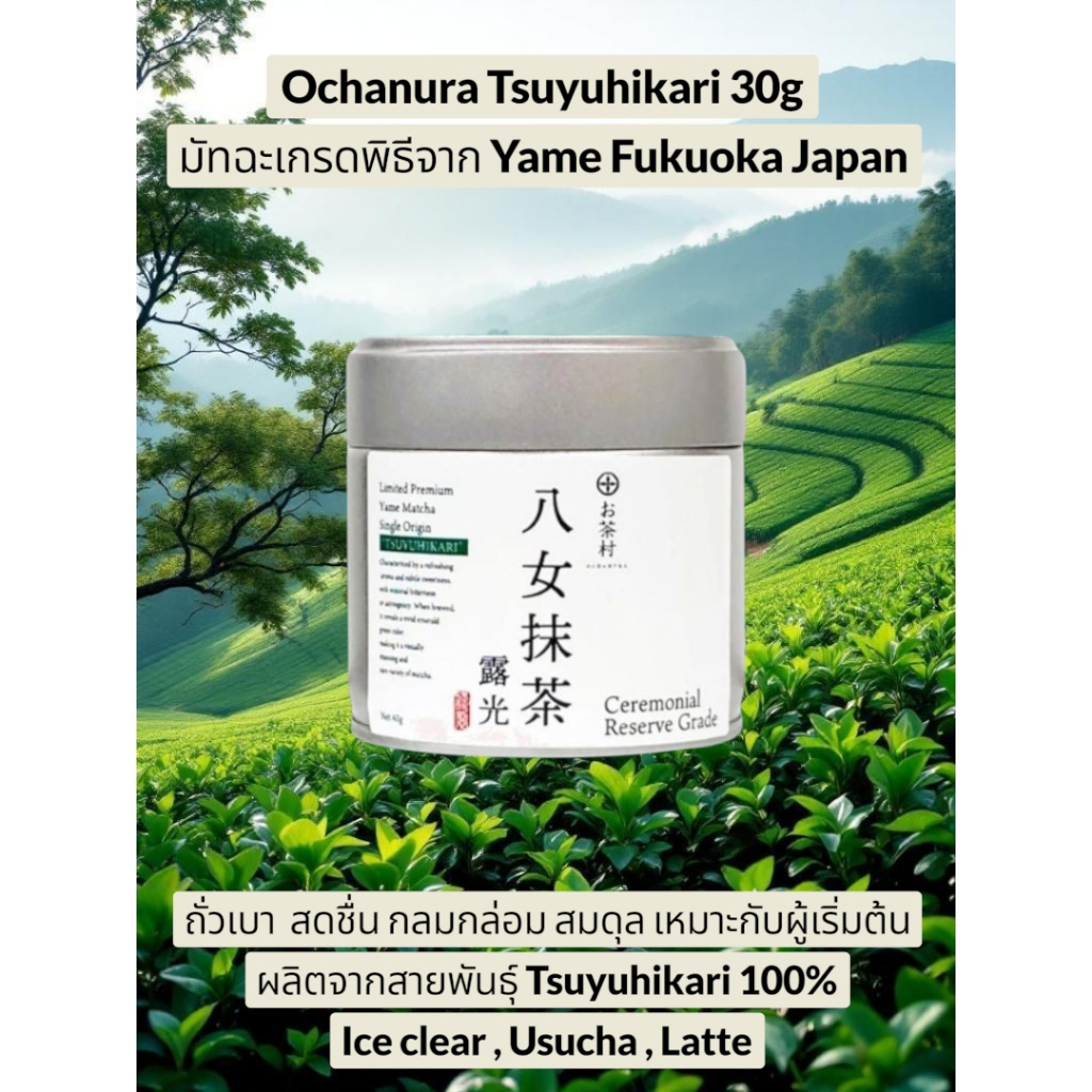 มัทฉะพร้อมส่งในไทย Ochamura Yame Matcha Tsuyuhikari 30g Ceremonial เกรดพิธีการ