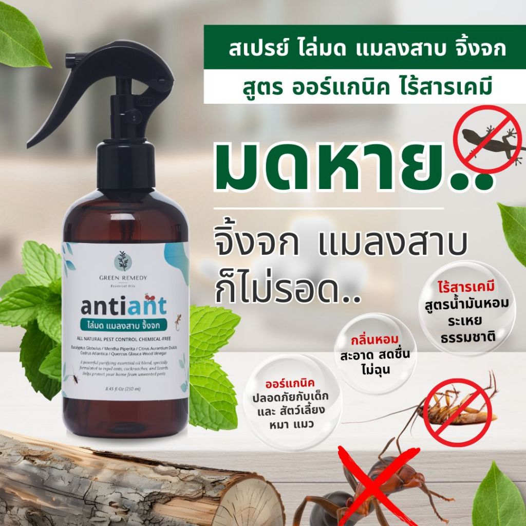 Anti-ANT สเปรย์ไล่มด ไล่แมลงสาบ ไล่จิ้งจก กำจัดปลวก มด จิ้งจก แมลง สูตรออร์แกนิค 100% 250 ml