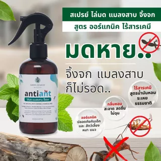 Anti-ANT สเปรย์ไล่มด ไล่แมลงสาบ ไล่จิ้งจก กำจัดปลวก มด จิ้งจก แมลง สูตรออร์แกนิค 100% 250 ml