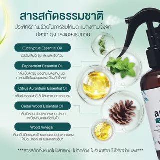 Anti-ANT สเปรย์ไล่มด ไล่แมลงสาบ ไล่จิ้งจก กำจัดปลวก มด จิ้งจก แมลง สูตรออร์แกนิค 100% 250 ml
