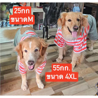 เอี้ยมสี่ขารุ่นหมี เสื้อสุนัข เสื้อหมาขนาดกลางถึงใหญ่ ใส่เที่ยว