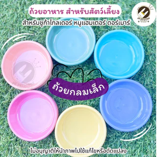 ถ้วยอาหาร สำหรับสัตว์เลี้ยงขนาดเล็ก (เซรามิก) เหมาะสำหรับ ชูก้าไกลเดอร์, หนูแฮมสเตอร์, ดอร์เมาส์