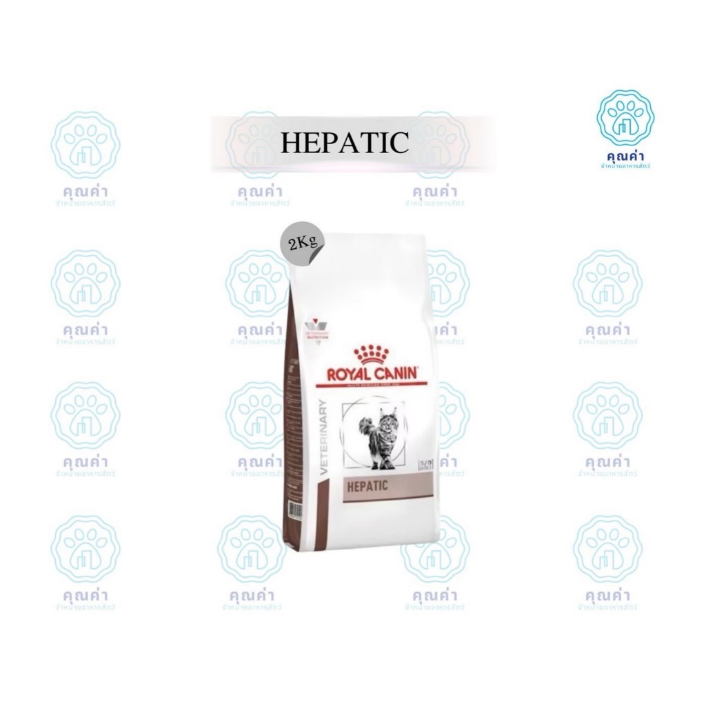 Royal Canin (HEPATIC cat)(2kg) อาหารแมว สำหรับแมวโตที่เป็นโรคตับ ชนิดเม็ด