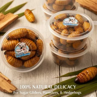 ด้วงสาคูฟรีชดรายโปรตีนสูง พร้อมทานได้ทุกที่โดย เหมาะสำหรับสัตว์กินแมลงและหนอน ชูการ์ แฮมเตอร์ เม่นแคระ ดอร์เมาส์ กิ้งก่า