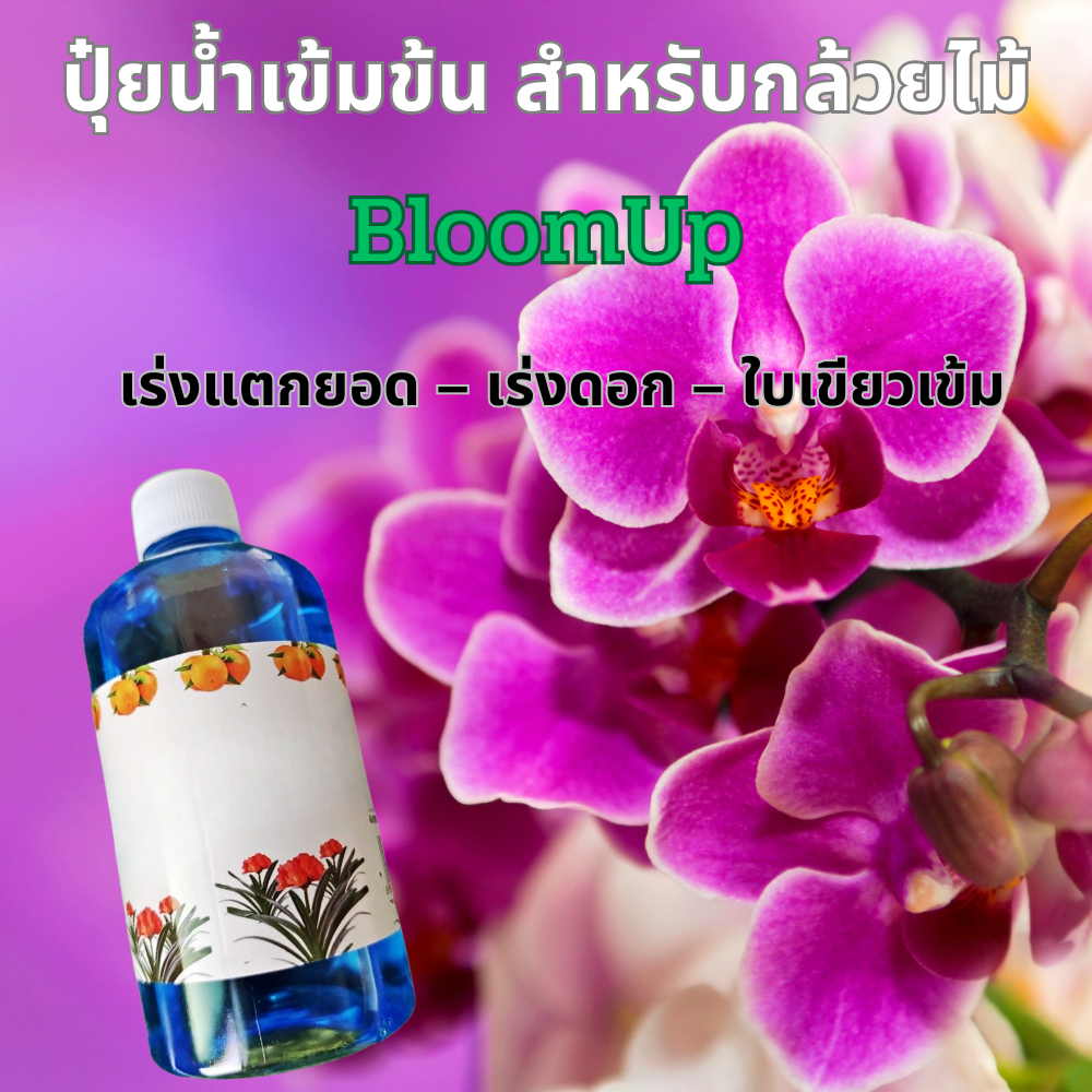 ปุ๋ยน้ำเข้มข้นสำหรับกล้วยไม้ ออกดอกไวทันใจ ดอกอยู่นานอยู่ทน BloomUp