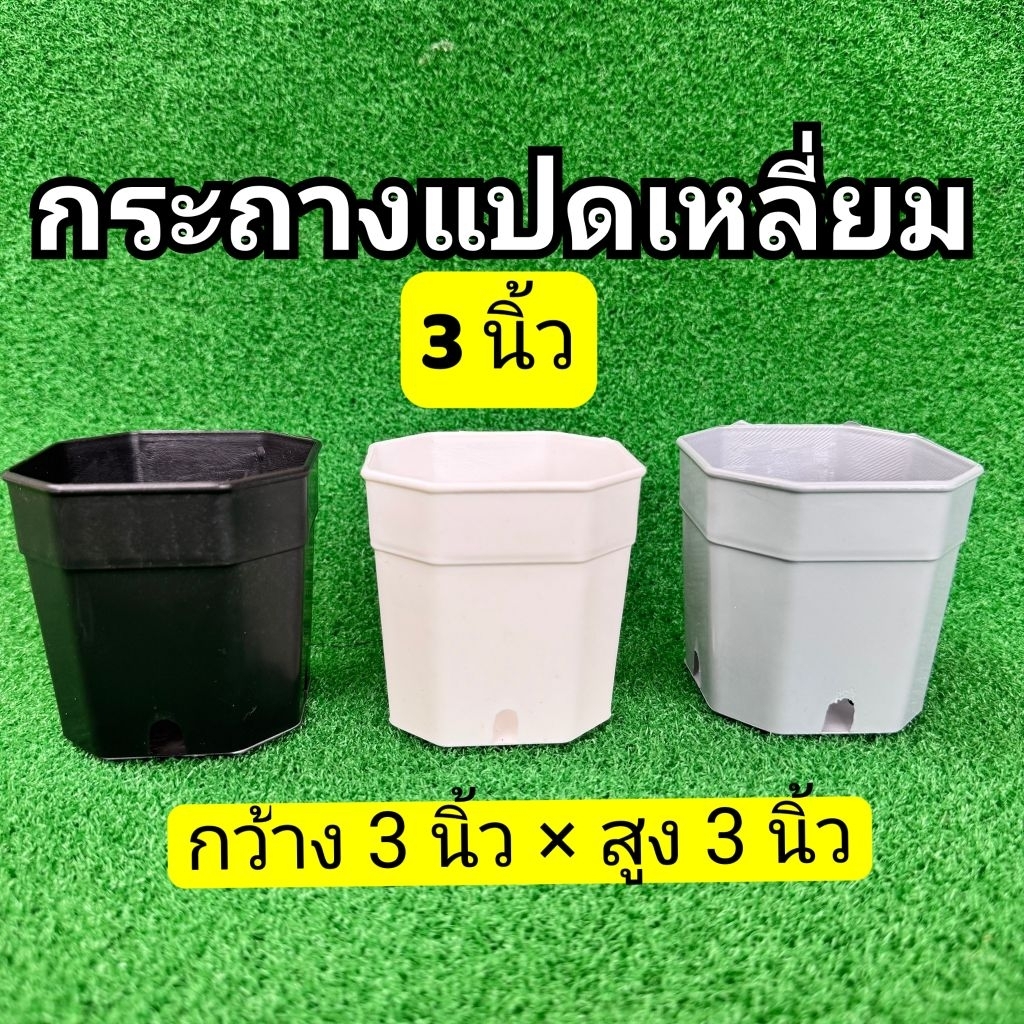 กระถางแคคตัส กระบองเพชร กระถางแปดเหลี่ยม 3 นิ้ว