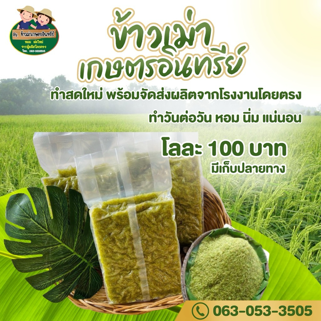 ข้าวเม่าอ่อน หอมสดใหม่