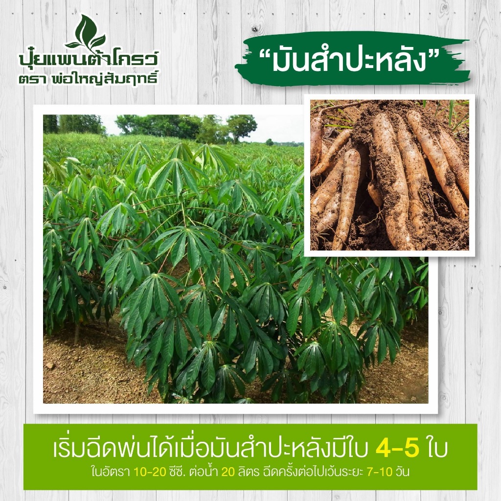 [2 ขวด] Pantagrow ปุ๋ยแพนต้าโกรว์ (ตรา) พ่อใหญ่สัมฤทธิ์ - รูปที่ 4