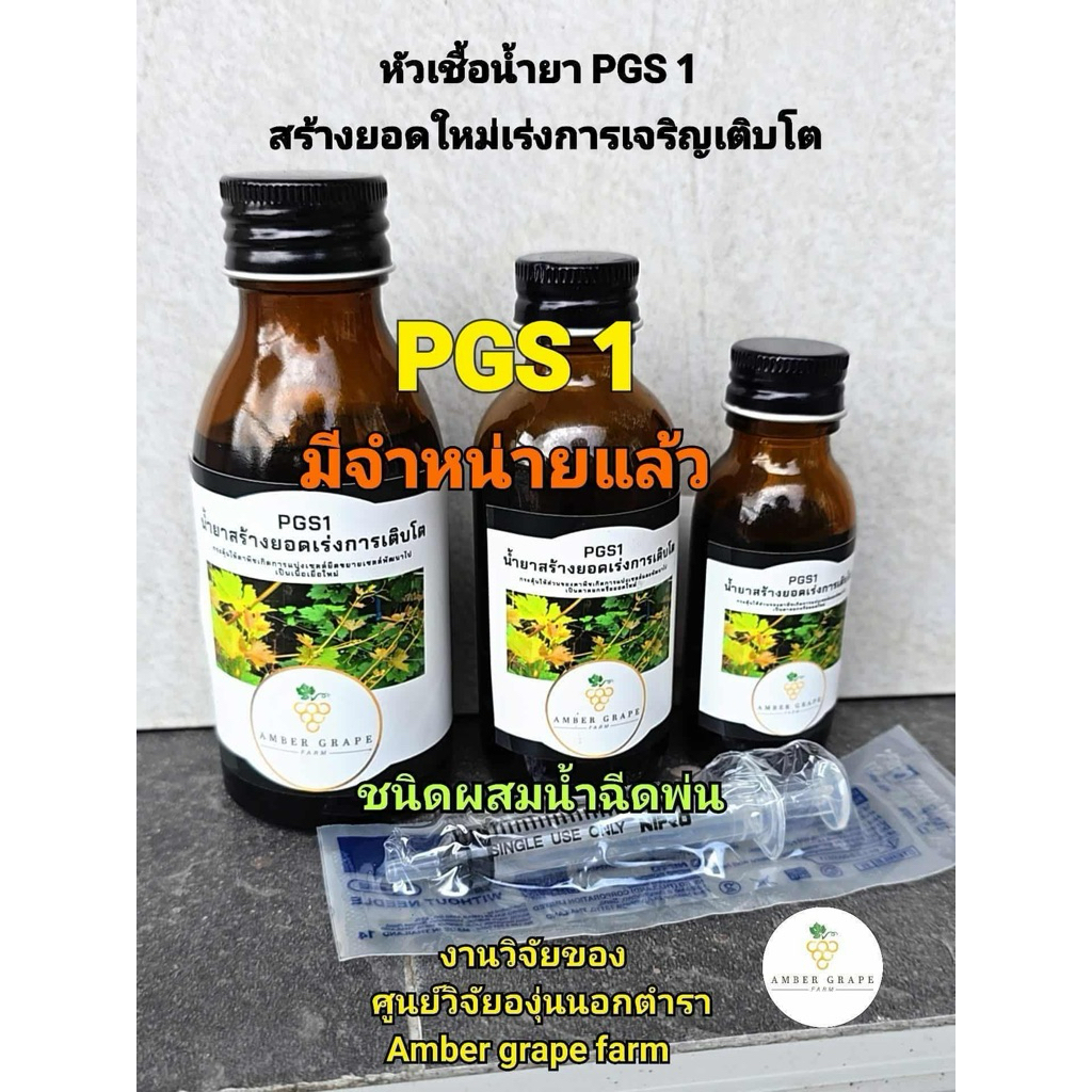 PGS 1 🍇 30 ml น้ำยาสร้างยอดใหม่เร่งการเจริญเติบโต