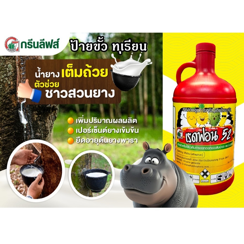 เรดฟอน52 สารอีทีฟอน 52% สารควบคุมการเจริญเติบโตของพืชที่ใช้เร่งการสุกของผลไม้ เช่น ทุเรียน มะม่วง สับปะรด เร่งน้ำยาง