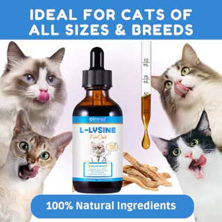Oimmal L-Lysine ไลซีนแมว เสริมภูมิ ต้านหวัดแมว ไข้แมว ไอ จาม บำรุงสายตา วิตามินแมว (สูตรน้ำ)