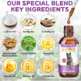 Worafy L-Lysine ไลซีนแมว สูตรน้ำ เสริมภูมิ ต้านหวัดแมว ไข้แมว ไอ จาม บำรุงสายตา วิตามินแมว