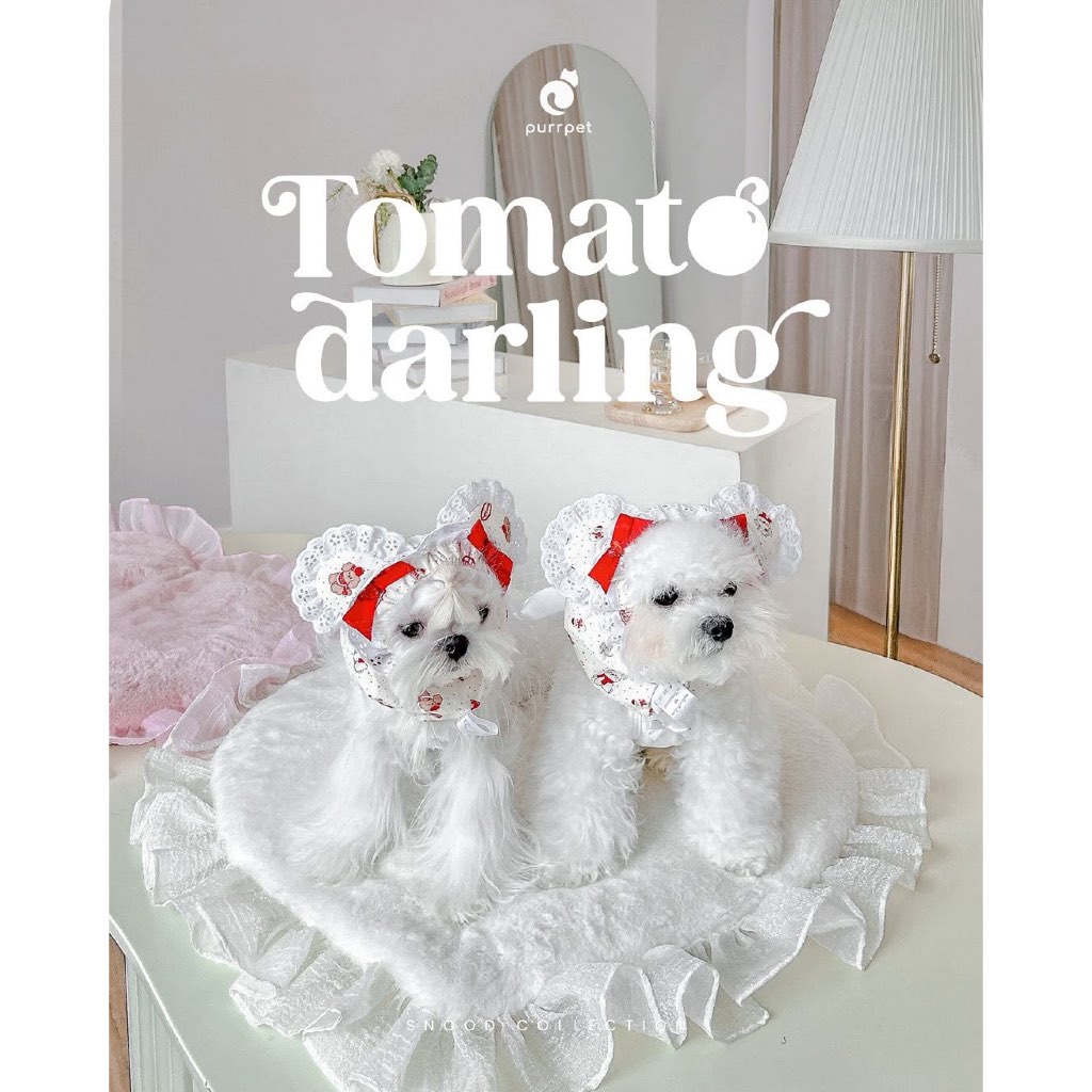 สนูดหูตั้ง & สนูดหูตก Purrpet Snood