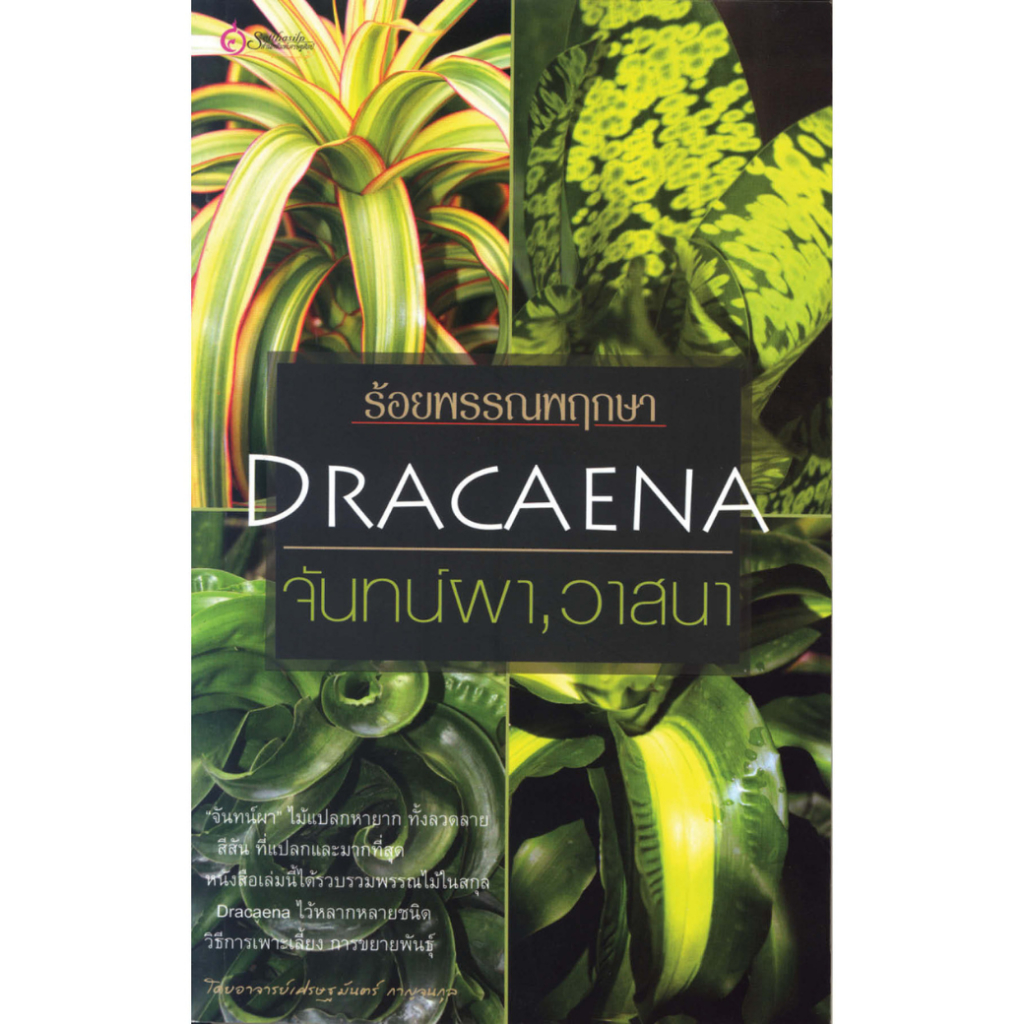 หนังสือ ร้อยพรรณพฤกษา Dracaena จันทน์ผา วาสนา ผู้เขียน: อาจารย์เศรษฐมันตร์ กาญจนกุล (มือ1ขายตามสภาพ) บ้าน สวน ไม้ดอก