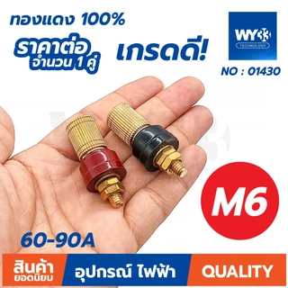 เกรดดี! ต่อ 1 คู่ ทองแดง 100% ไบดิ้ง โพส ต่อแบตเตอรี่ เกลียว M6 M8 ลำโพง binding post เกรดดี!