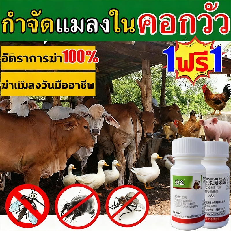 โรงเลี้ยงสัตว์ไม่มียุงและแมลงวันอีกต่อไป ยาไล่ยุงคอกวัว ซื้อ1แถม1 กำจัดแมลงวัน ยุง เห็บ มด เหา หมัด แมลง อัตราการฆ่า100%
