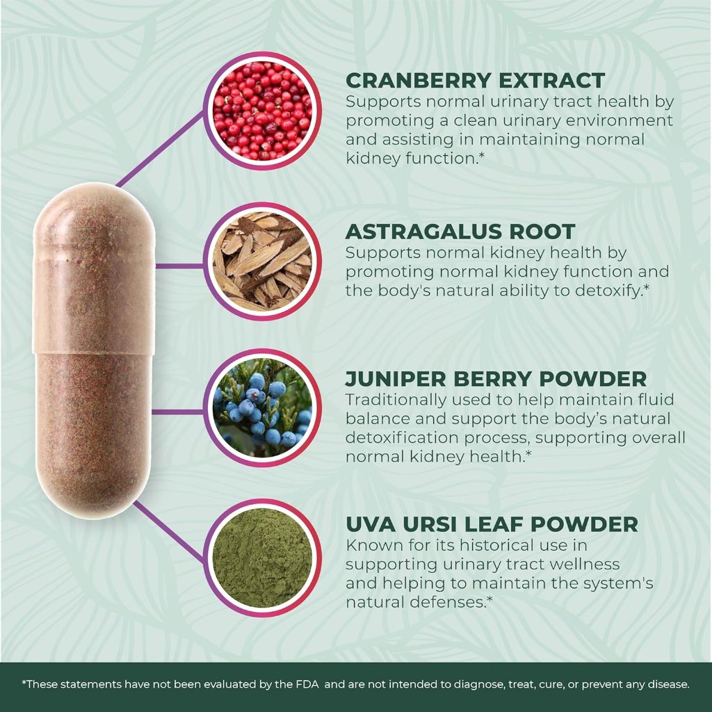 60 แคปซูล อาหารเสริมบำรุงไต เพื่อคุณภาพไตที่ดี Kidney Cleanse + Kidney Support  by PurePremium Supplements - รูปที่ 5