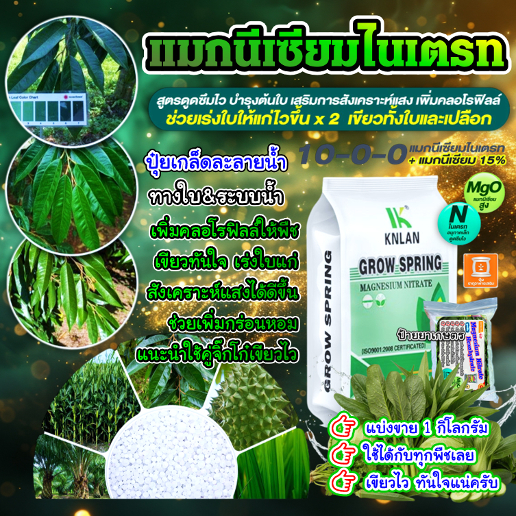 แม่ปุ๋ย 10-0-0 แมกนีเซียมไนเตรท (1Kg) ปุ๋ยเกล็ด ปุ๋ยทางใบ ช่วยให้ใบเขียว แตกใบอ่อน แตกกอ บำรุงต้น