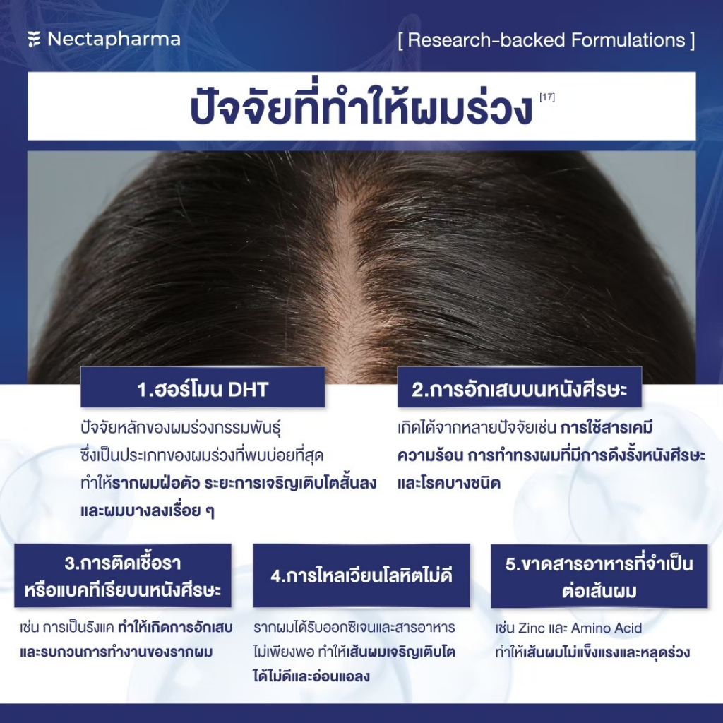 รูปภาพ 3