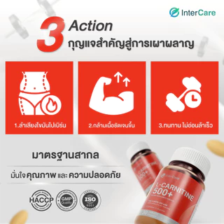 [60 เม็ด] InterCare - L-carnitine 500+ L-Arginine แอลคาร์นิทีน แอลอาร์จินีน เผาผลาญ สร้างกล้ามเนื้อ