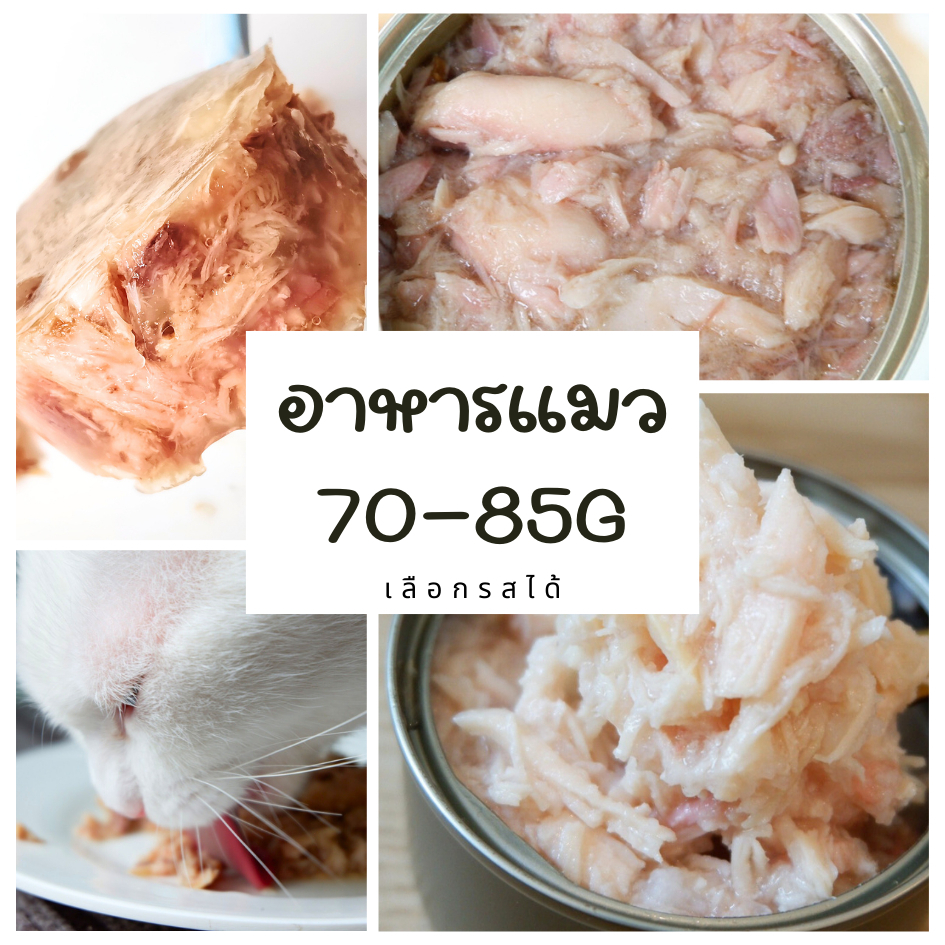 อาหารเปียกแมว ปลาแซลมอน/ไก่เลือกรสได้ ขนาด 85กรัม กระป๋องเปลือยเกรดส่งออก - รูปที่ 3