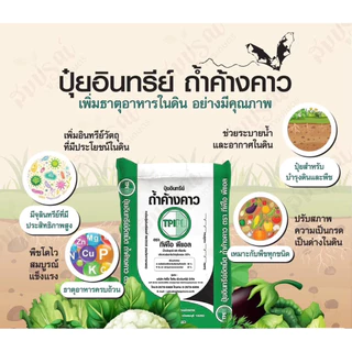 ปุ๋ยอินทรีย์อัดเม็ด ถ้ำค้างคาว ตรา TPIPL ทีพีไอโพลีน พืชสมบูรณ์ เขียว ดก แข็งแรง