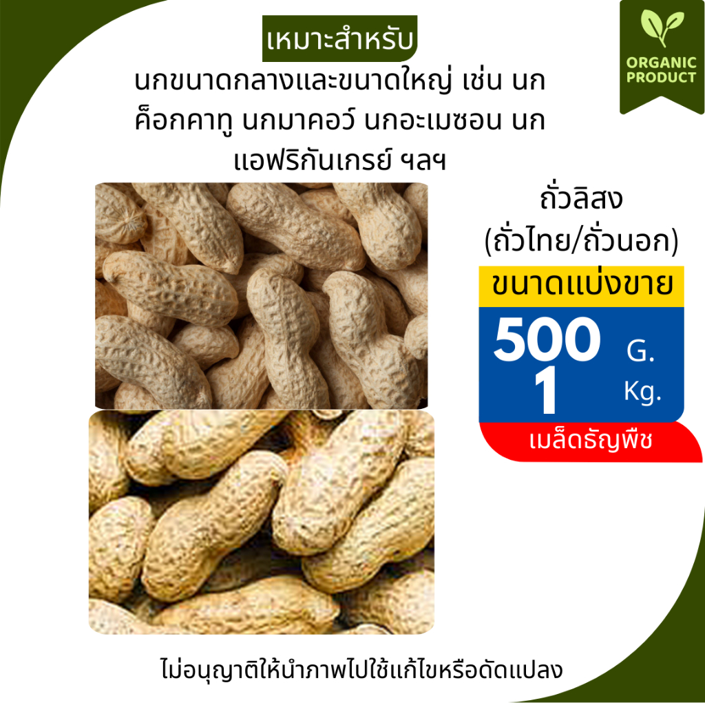 ถั่วลิสงอบแห้ง (ไทย/นอก)สำหรับ นก หนู กระรอก แพรี่ด็อกแและสัตว์ฟันแทะ มี3ขนาดให้เลือก1kg.,2kg.และ5kg.