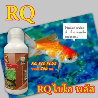 ผลิตภัณฑ์แบคทีเรียในรูปแบบของเหลว อาร์คิว ไบโอ พลัส RQ Bio Plus ขนาด 500 มล. ฝาสีขาว สำหรับปลาสวยงามน้ำจืดและน้ำทะเล